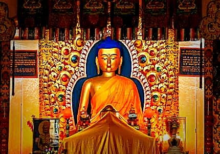 Dharamshala Palampur Tour with Amritsar