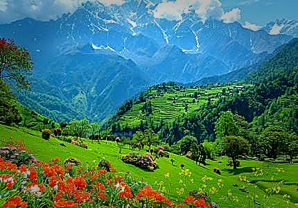 Amritsar - Dalhousie Dharamshala  Tour Package