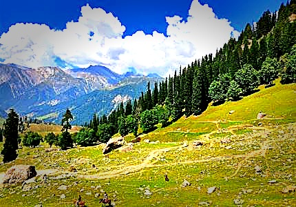 Amritsar Patnitop Pahalgam Srinagar Gulmarg Sonmarg Tour Package