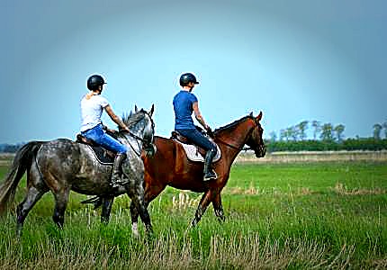Amritsar Dalhousie Khajjiar Chamba Tour Package